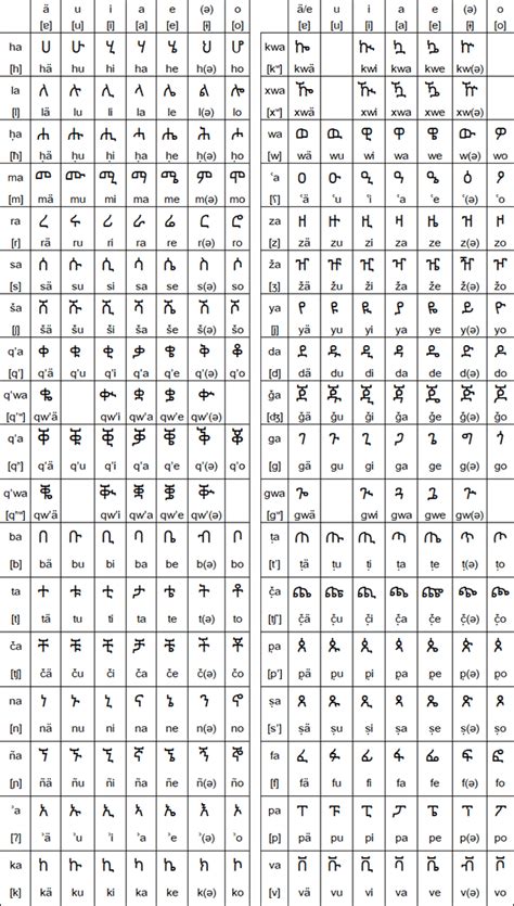 Tigrinya Or Tigrigna ትግርኛ Alphabet Ethiopian Argument