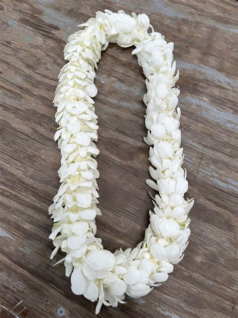 Fresh White Orchid Lei Double Thickness Handmade Orchid Etsy