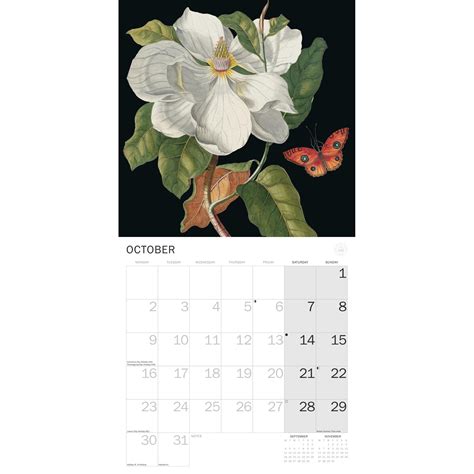 Royal Botanic Gardens Kew Floral Illustrated Pfp Wall Calendar 2023