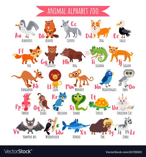 Zoo Alphabet A Z Animal Alphabet Poster Royalty Free Vector