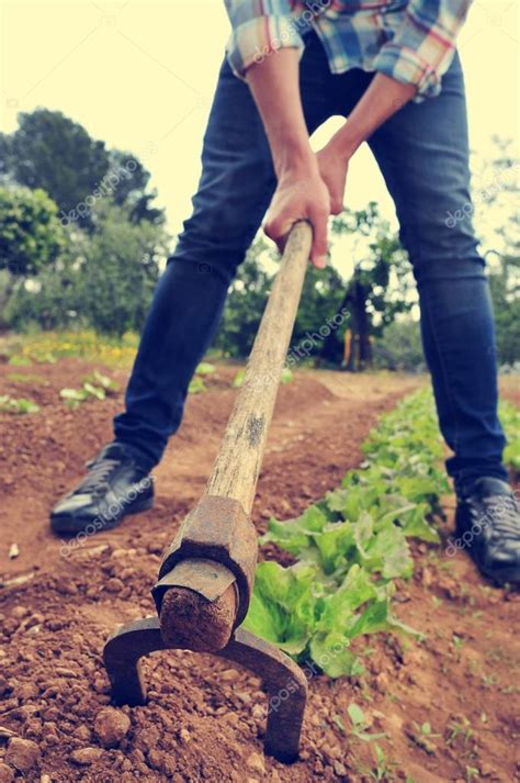 Urbanite Man Digging In A Garden Stock Photo By ©nito103 78529954