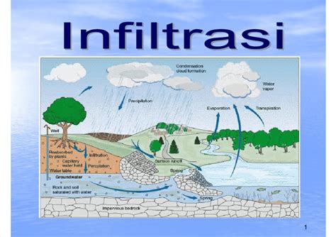 Pengertian Infiltrasi Menurut Hidrologi Geo Images