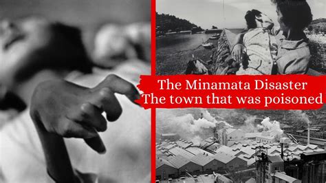 The Minamata Disaster The Town That Was Poisoned YouTube