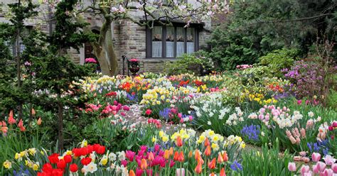 6 Tolle Pflanzideen Mit Blumenzwiebeln Mein Schöner Garten