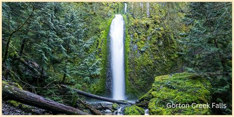 Gorton Creek Falls Hike Columbia River Gorge Oregon