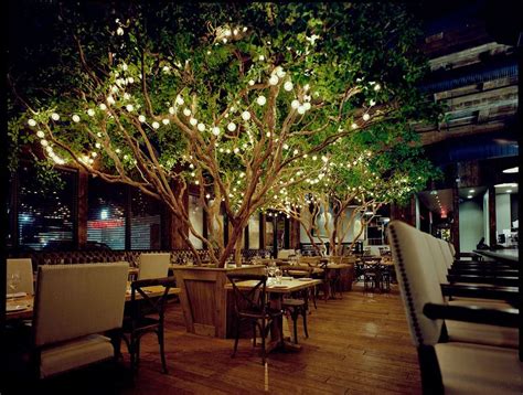 Replica Black Olive Tree Outdoor Restaurant Patio Tree