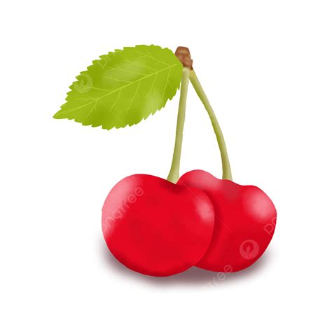 Red Cherries Png Image Fresh Red Cherry Red Cherry Fresh Fruit Png