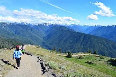 Hurricane Ridge Guided Tour In Olympic National Park 2020