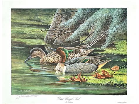 Green Winged Teal John A Ruthven Master Of Wildlife Art