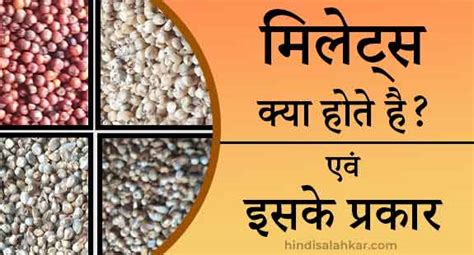 मिलेट्स क्या है तथा इसके प्रकार Types Of Millets In Hindi Siridhanya