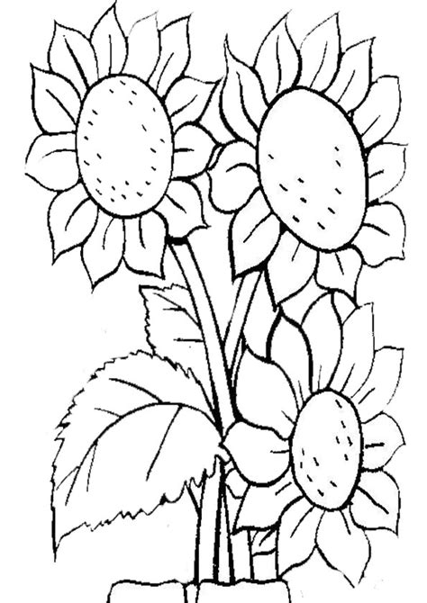 Ausmalbilder Blumen 3 | Ausmalbilder Malvorlagen