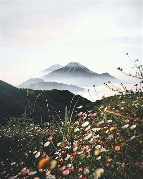 Maybe you would like to learn more about one of these? Gambar Pemandangan Untuk Quotes - Gambar Pemandangan