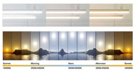 All In One Guide To Tunable White Led Lighting Leddynamics