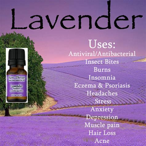 12 Amazing Benefits And Uses Of Lavender Essential Oil Infographic