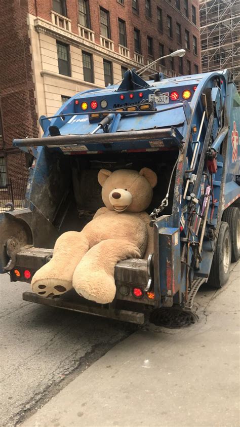 Giant Bear Hanging Out In Back Of A Garbage Truck Rmildlyinteresting