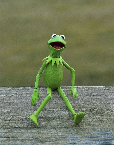 Hd Wallpaper Kermit Frog Muppet Amphibian Green Toy Action