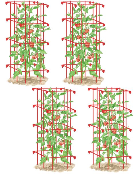 Mrgardentomato Cagesplant Cage Sturdy And Durable5 Feet High2 Pack