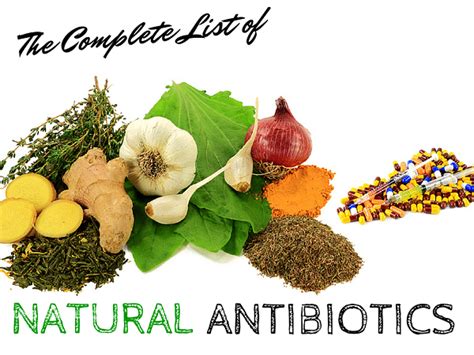 How To Use The 15 Best Proven Natural Antibiotics Foods And Herbs