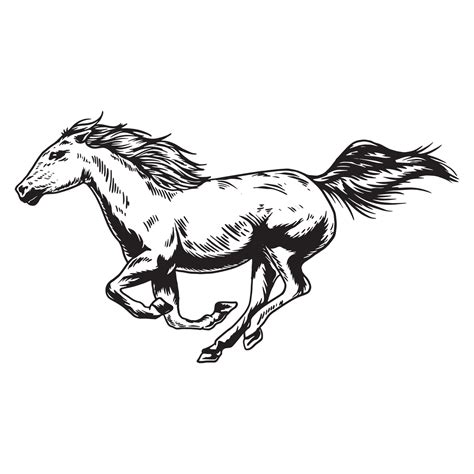 Horse Running Hand Drawn Vector Illustration 2166716 Vector Art At Vecteezy