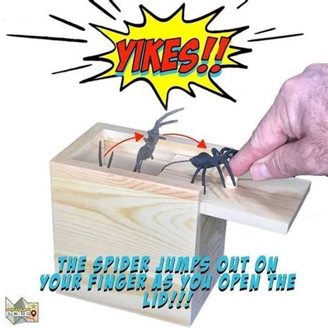 19 99 prank box prank t boxes prank ts gag ts spider prank spider toy crazy