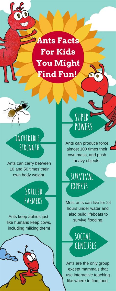 Ppt Ant Facts Infographic For Kids Powerpoint Presentation Free