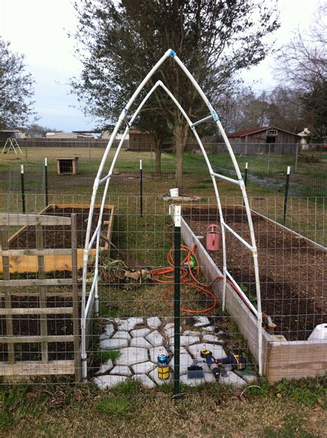 This Is A Garden Trellis We Made From Pvc Planted The Plants Close To