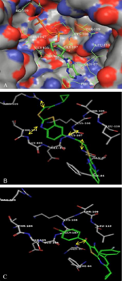 Ligand Protein Interactions A Receptor Site Of Seca Ca L