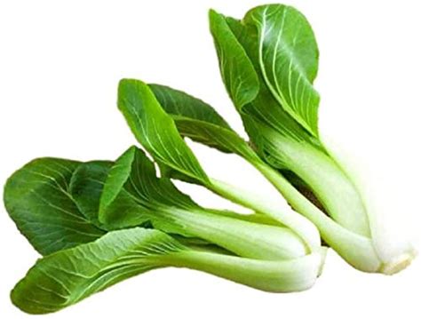 Baby Pak Choi Seeds Chinese Greens Non Gmo 1000 Seeds Oceanbargains