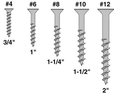 A Guide To Wood Screw Sizes Screw Size Chart 54 Off 57 Off