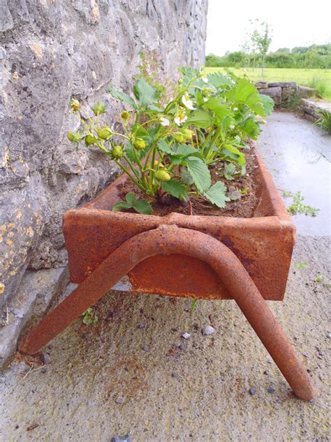 See more ideas about trough planters, planters, trough. Strawberry Planting Ideas From An Irish Goat Farm ⋆ Shawna ...