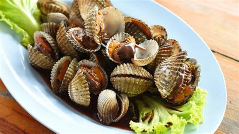 Bersihkan kerang dara dari semua kotoran. Tips Membersihkan Kerang Dara Sebelum Diolah - Lifestyle ...