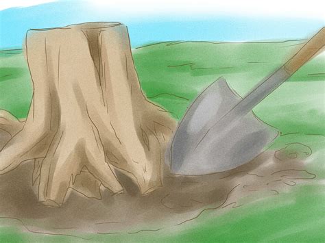 Maybe you would like to learn more about one of these? 5 Ways to Kill Tree Roots - wikiHow
