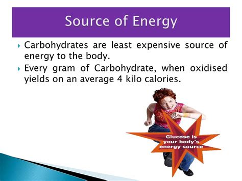 Functions Of Carbohydrates PPT