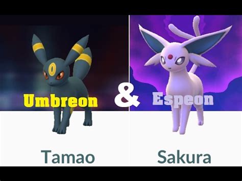 May 27, 2021 · how to evolve eevee into sylveon, leafeon, glaceon, umbreon, espeon, vaporeon, jolteon and flareon in pokémon go, including the eeveelution name trick explained. Eevee name trick Evolution to Umbreon and Espeon - Pokémon ...