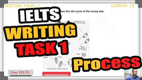 Lesson 11 12 Process IELTS Writing Task 1 YouTube