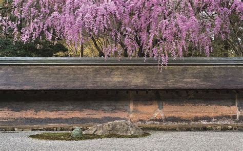Beautiful Japanese Zen Gardens In Pics Telegraph Japanese Zen