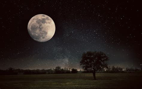 4510240 Trees Nature Moon Field Rare Gallery Hd Wallpapers