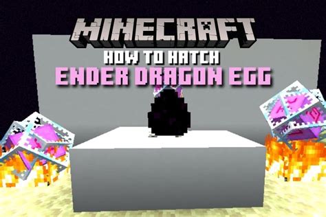 How To Hatch An Ender Dragon Egg In Minecraft Newsdeal