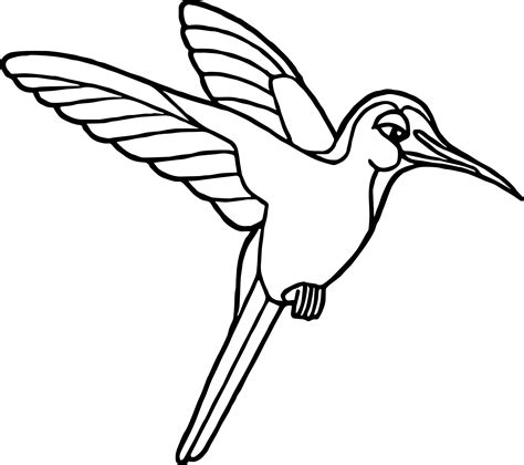 Rainforest Birds Coloring Pages at GetColorings.com | Free printable