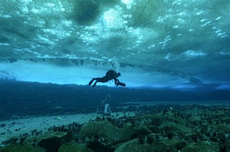 Five Incredible Scuba Diving Trips Around The World Escape Artist