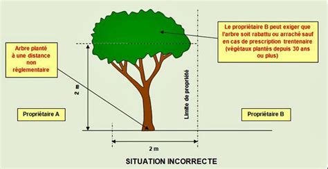 Respecter les Distances de Plantation - Pro a Dom