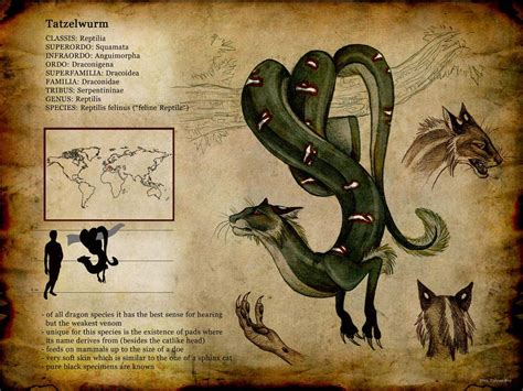 Reptilis Felinus By Culpeo Fox In 2019 Mythical Creatures Creature