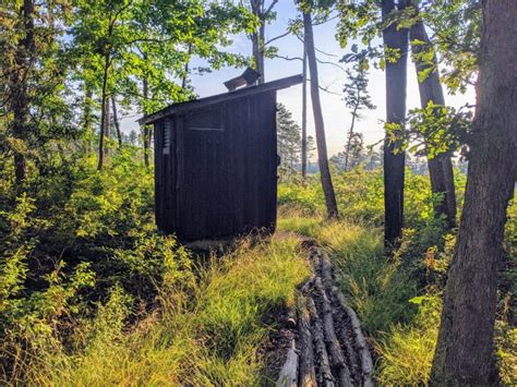 Check spelling or type a new query. Anna Michener Cabin | David R. Whitney