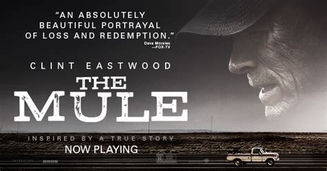 Clint eastwood stars as earl stone, a man in his 80s who is broke, alone, and facing. Film Review - The Mule (2018 | Clint eastwood, Film review, True stories