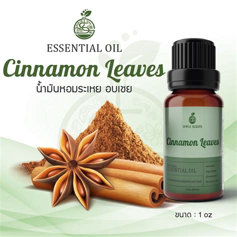 Cinnamon Leaves Essential Oil น้ำมันหอมระเหย อบเชย Cinnamon Leaves