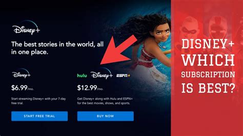 Disney Plus What Subscription Should You Choose Youtube