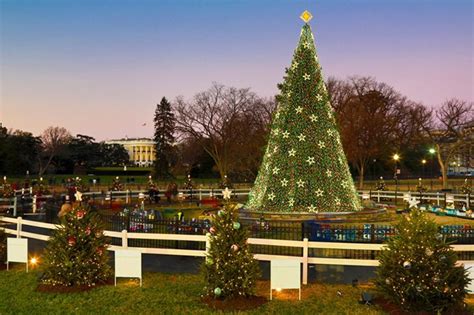 Los árboles De Navidad Más Espectaculares Del Mundo