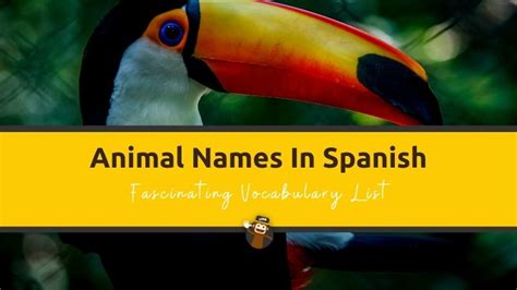 100 Animal Names In Spanish Fascinating Vocabulary List Ling App