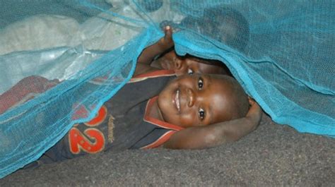 Malaria In Tanzania Epic Disease Msongo