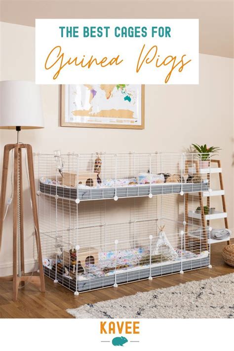 Guinea Pig House, Baby Guinea Pigs, Cool Hamster Cages, C&c Cage, Cozy